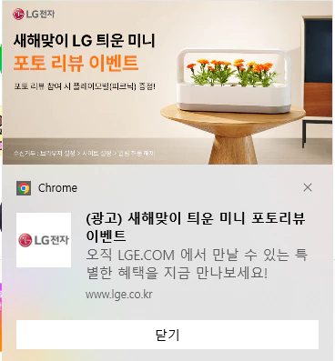 크롬 팝업 광고