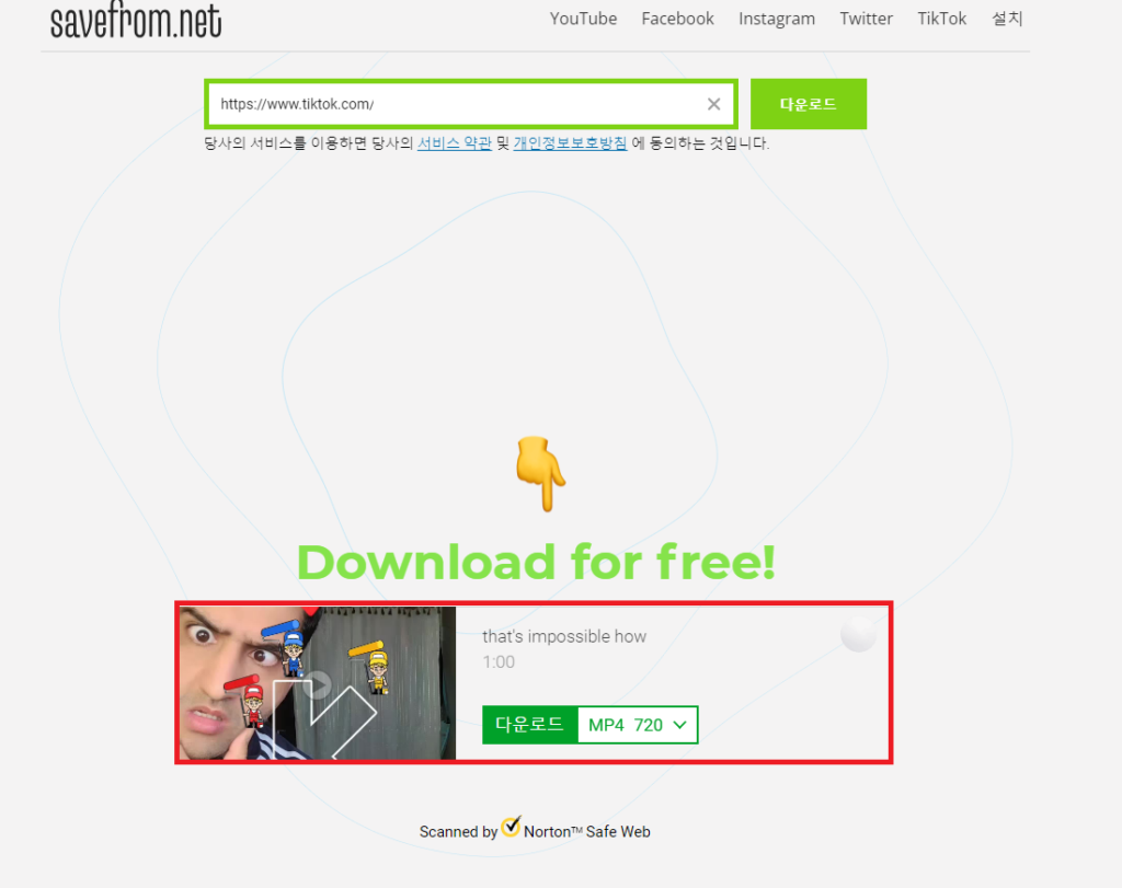 savefrom.com 틱톡 영상 다운로드