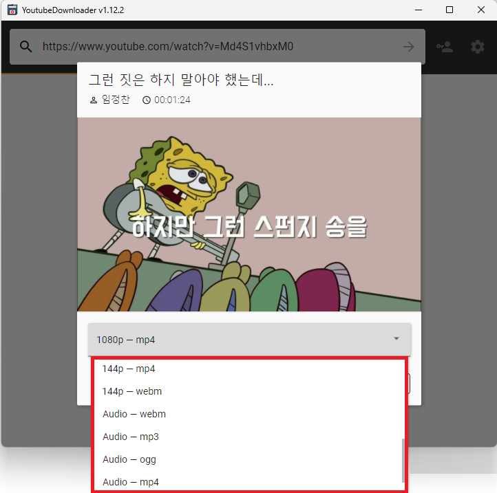 YoutubeDownloader 형식 선택